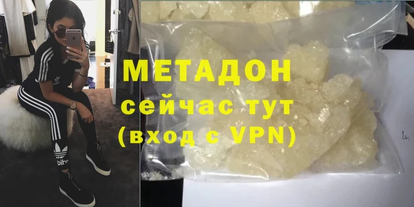 гашик Ельня