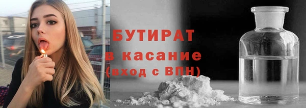 гашик Ельня
