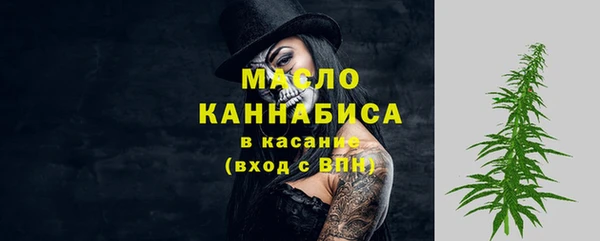 стаф Елабуга