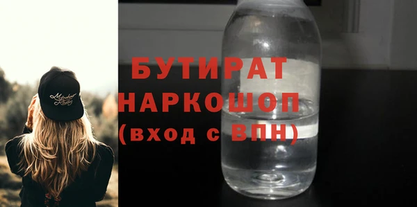 гашик Ельня