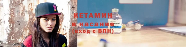 гашик Ельня