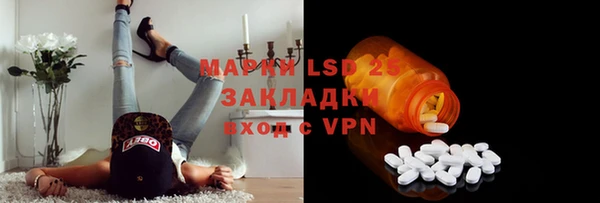 apvp Дмитриев