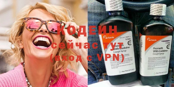гашик Ельня
