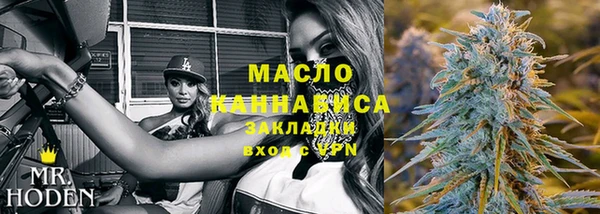гашик Ельня