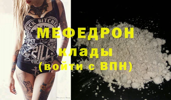 гашик Ельня