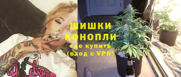 гашик Ельня