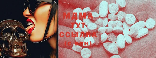 гашик Ельня