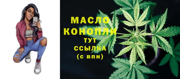 стаф Елабуга